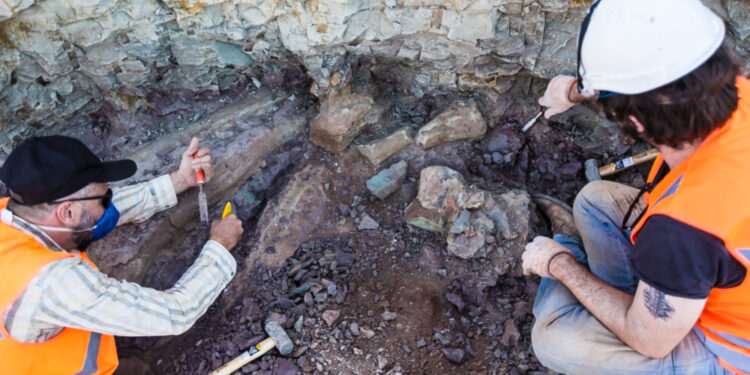 Fóssil encontrado no Brasil revela um predador aquático que viveu há milhões de anos