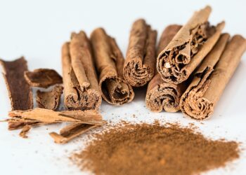 Jogar canela fora veja jardineiros