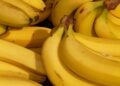 Banana dura você faz coroa