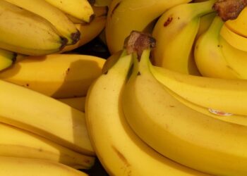 Banana dura você faz coroa