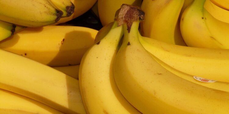 Banana dura você faz coroa