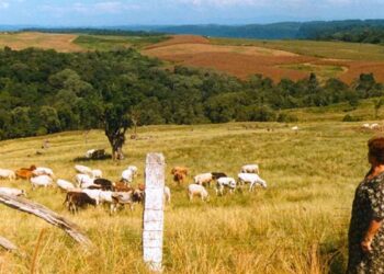 Casal começou campo energia elétrica