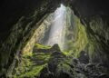 Caverna vietnã esconde floresta subterrânea