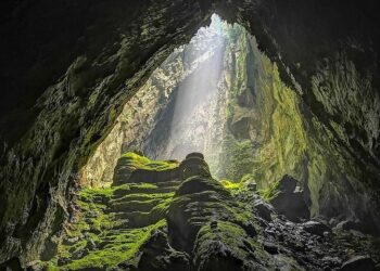 Caverna vietnã esconde floresta subterrânea