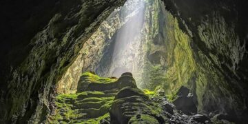 Caverna vietnã esconde floresta subterrânea