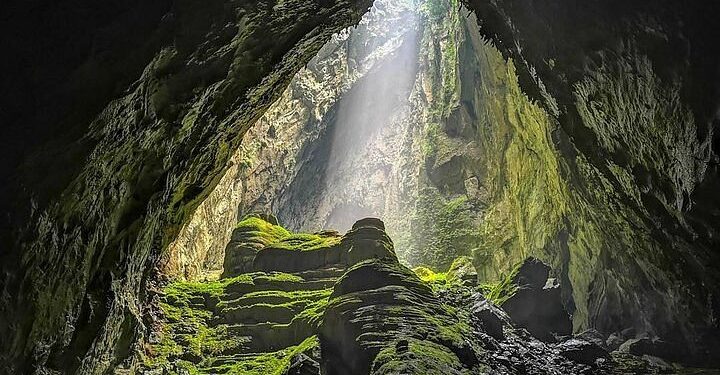 Caverna vietnã esconde floresta subterrânea