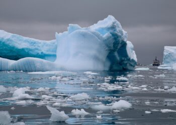 Cientistas encontram milhões ninhos área