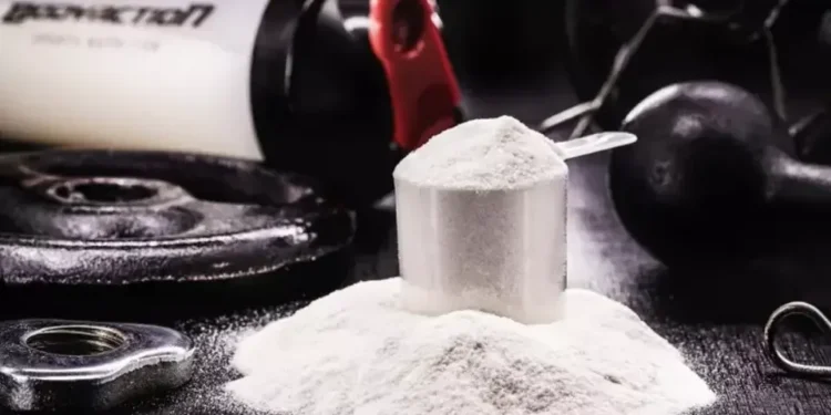 Creatina ganha nova função estudada