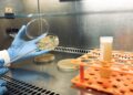 Bioinsumos ganham novas regras no Brasil em movimento que afeta o setor agrícola
