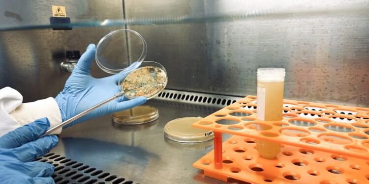 Bioinsumos ganham novas regras no Brasil em movimento que afeta o setor agrícola