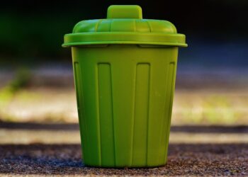 Começou recolher lixo encontrou transformar