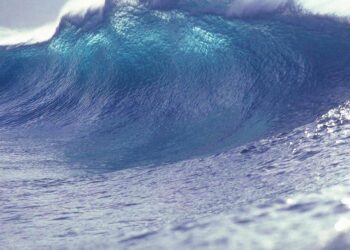 Perdeu esposa tsunami mergulhou encontrá