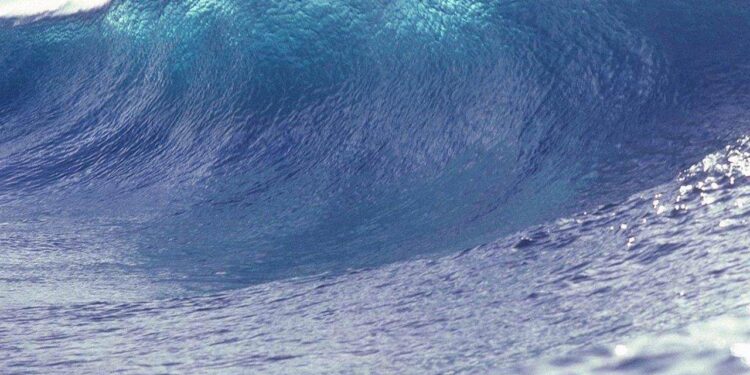 Perdeu esposa tsunami mergulhou encontrá