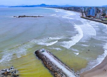 Praia que perdeu espaço para o mar recebe nova vegetação para tentar recuperar a faixa de areia