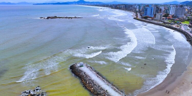 Praia que perdeu espaço para o mar recebe nova vegetação para tentar recuperar a faixa de areia