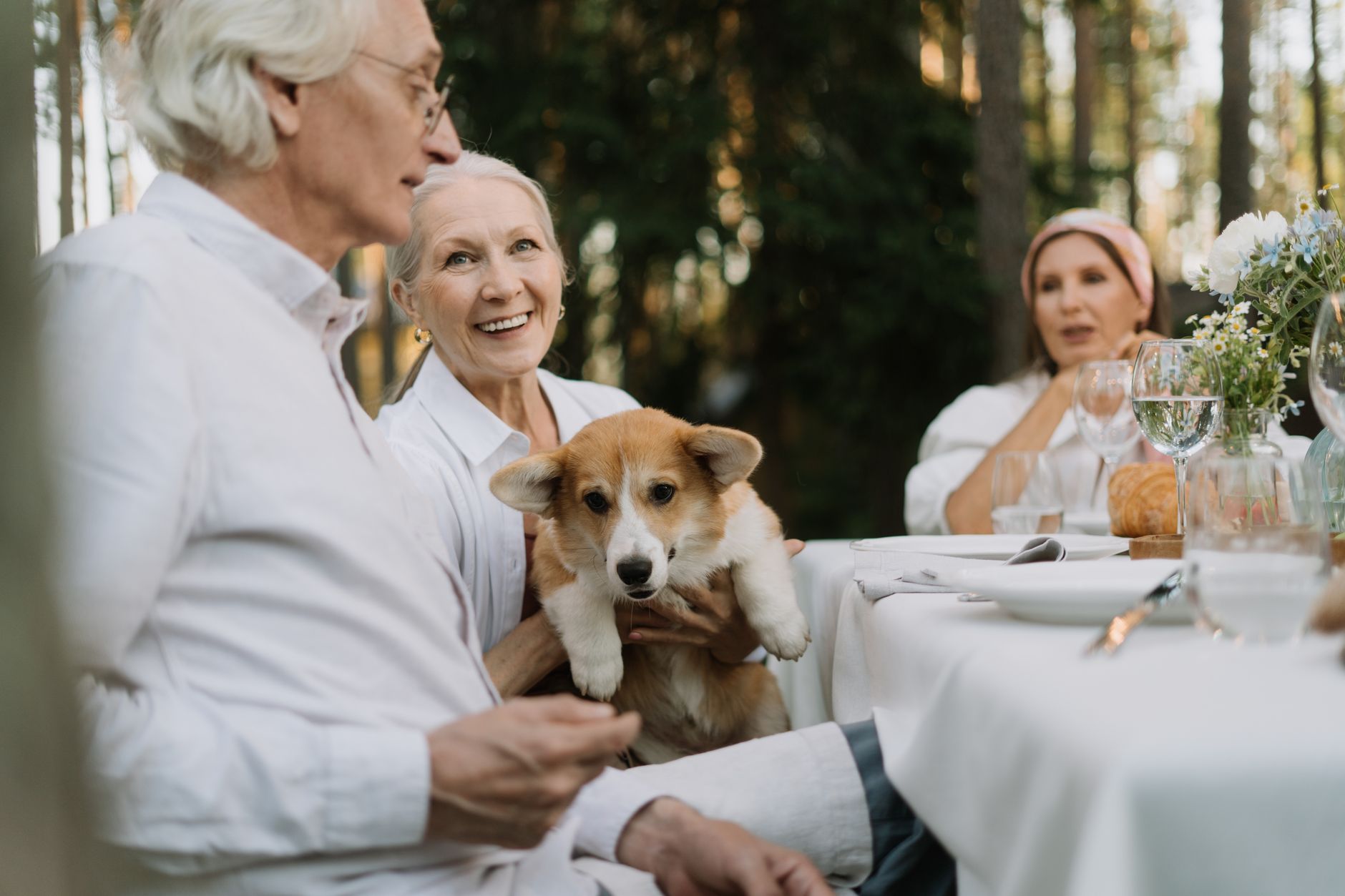 Adultos seniores desfrutando de uma refeição ao ar livre ensolarada com um corgi, personificando felicidade e amizade.