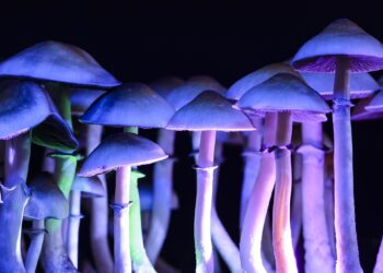 Microdosagem psilocibina parece promissora ciência