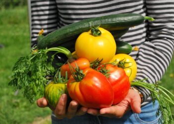 Nutricionistas destacam dez frutas hortaliças