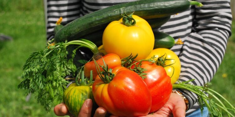 Nutricionistas destacam dez frutas hortaliças