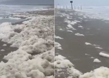 Fenômeno deixou praia paulo coberta