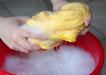 Método simples afastar baratas limpeza