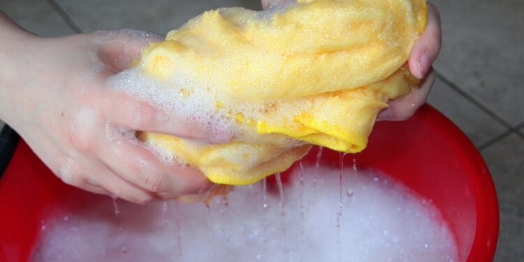 Método simples afastar baratas limpeza