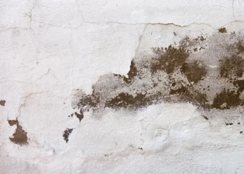 Sua casa está úmida? Veja o que fazer para evitar que o mofo apareça nos ambientes