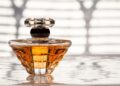 Perfumes femininos destacam noite ganham