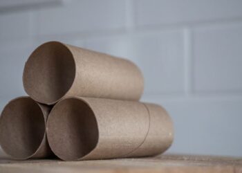 Como transformar tubos de papel higiênico em repelentes caseiros contra baratas