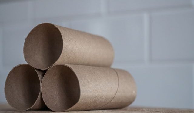 Como transformar tubos de papel higiênico em repelentes caseiros contra baratas