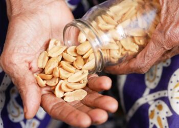Alimento com mais proteínas no Brasil não é carne e todo vegano pode comer