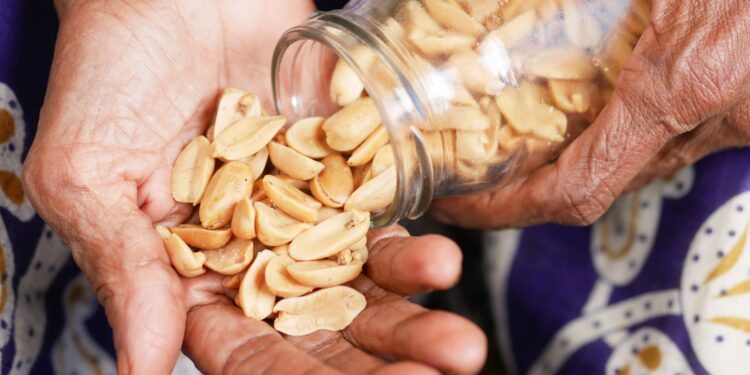 Alimento com mais proteínas no Brasil não é carne e todo vegano pode comer