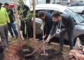 Praça brasileira aposta árvores jardins