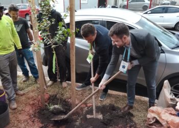 Praça brasileira aposta árvores jardins