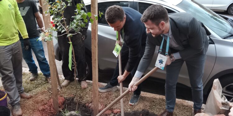 Praça brasileira aposta árvores jardins