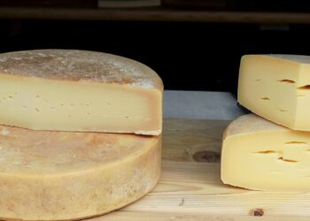 Queijo mofar rápido causa erro