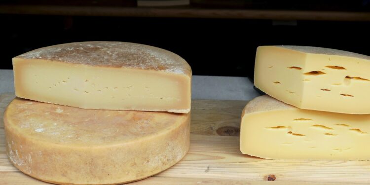Queijo mofar rápido causa erro