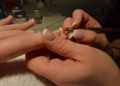 Gosta unhas discretas apostar nestas