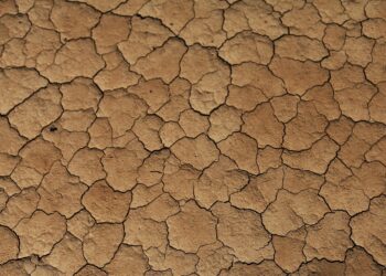 Seca causada agrava américa central