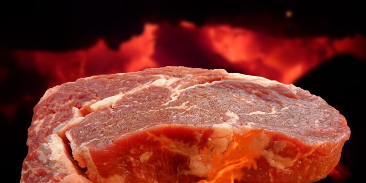 Churrasco escolha carne osso osso