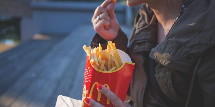 Aprenda batata frita igual mcdonald