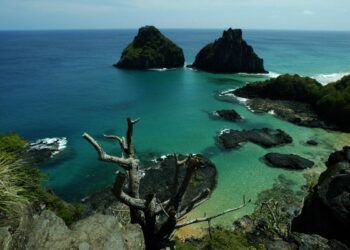 Área oceânica quase mil hectares