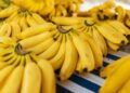 Bananas amadurecem rápido cozinha método