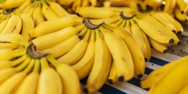 Bananas amadurecem rápido cozinha método