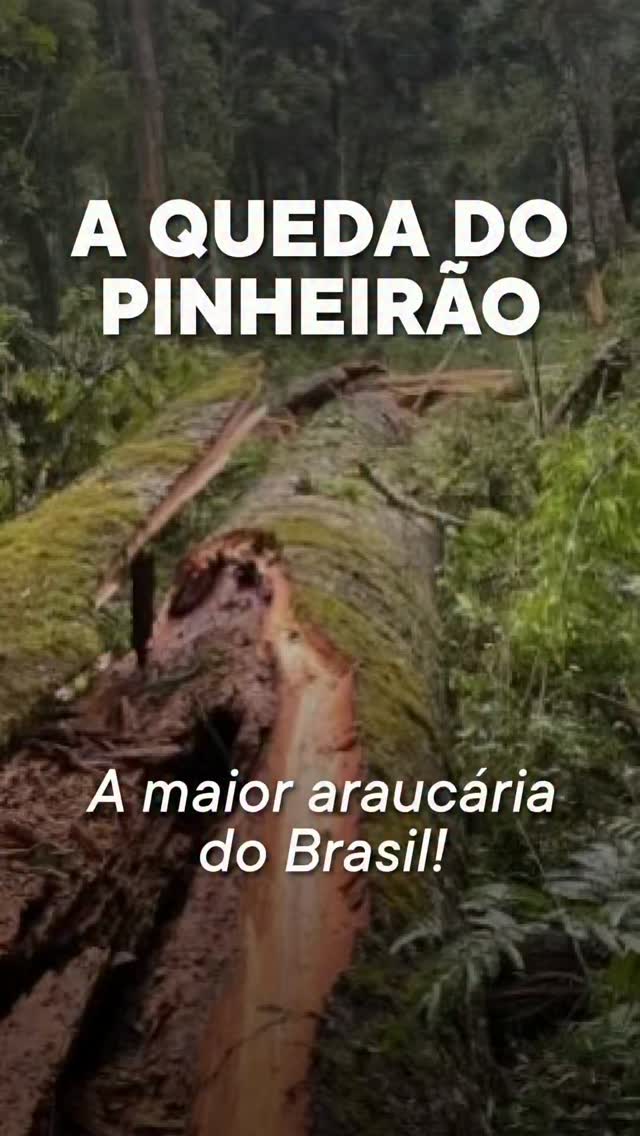 Publicação no Instagram