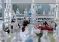 Cientistas investigam células zumbis terapias