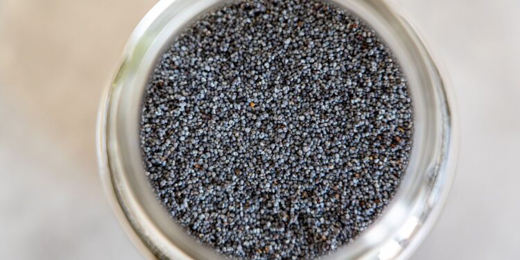 Deixar chia molho consumir favorecer