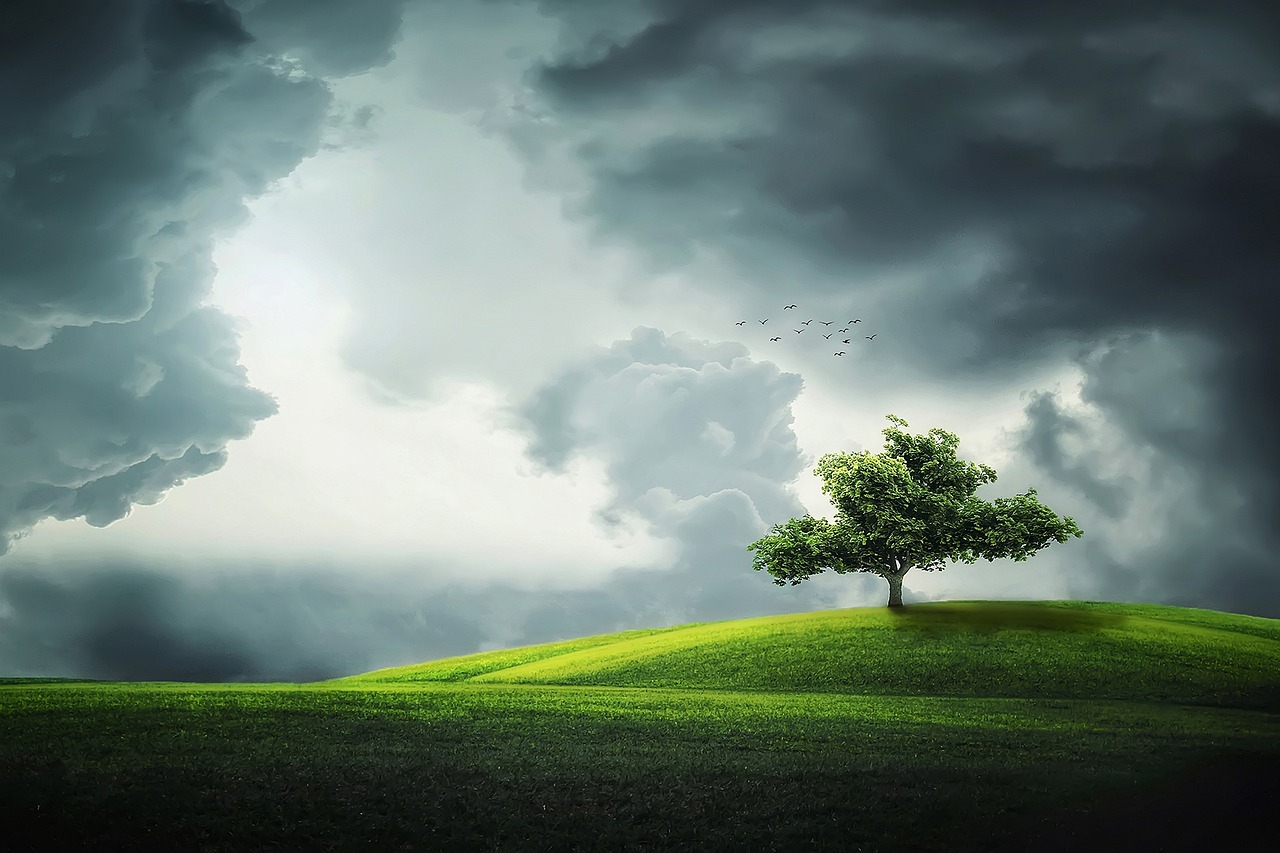 árvore, nuvens, campos, relva, pastagens, prado, hill, céu nublado, sombrio, clima, rural, interior, panorama, natureza, parque, verde, horizonte, ao ar livre, natureza, natureza, natureza, natureza, natureza