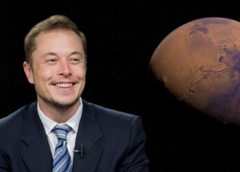 Elon musk aconselha obtenham educação