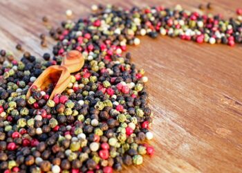 Especiaria comum cozinha ganha uso